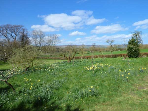 Flanders Hall West Burton Buitenkant foto